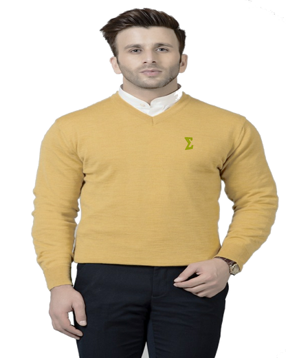 Gold.E V-Neck Sweater - GoldE 85