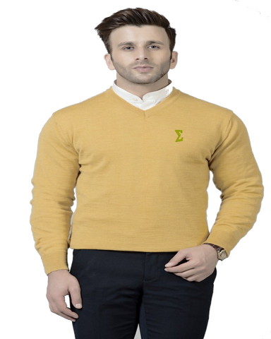 Gold.E V-Neck Sweater - GoldE 85